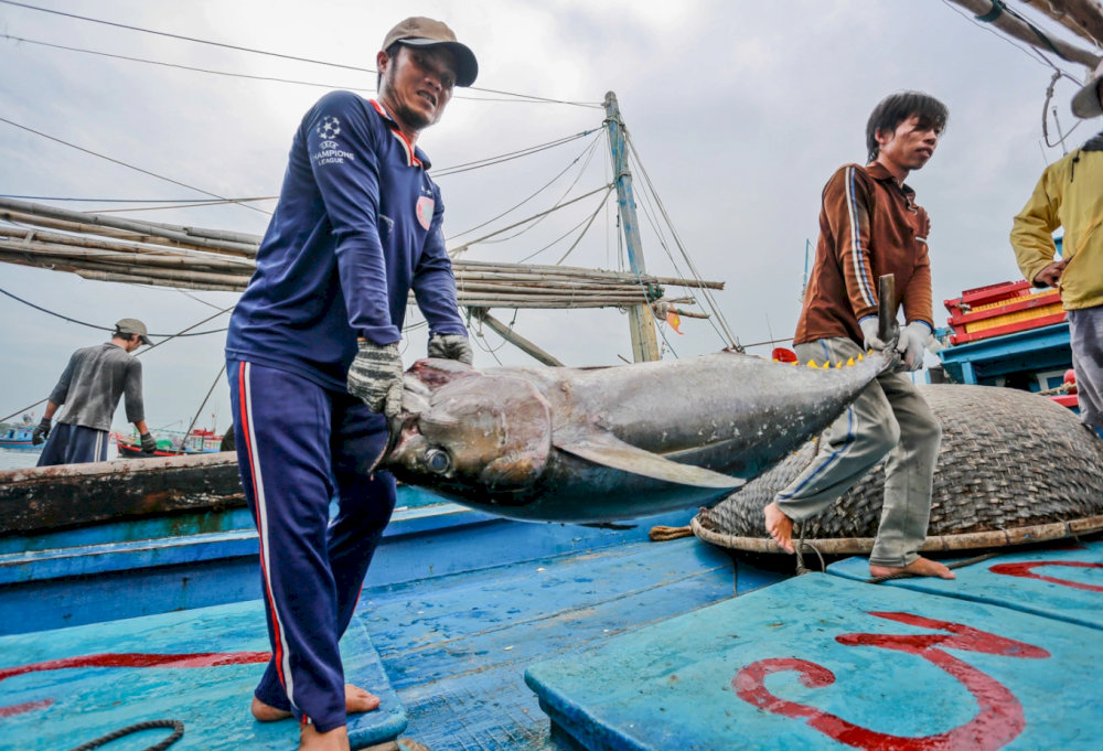 Visitors will have the opportunity to learn about the lives of local fishermen